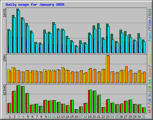 Daily usage for January 2026
