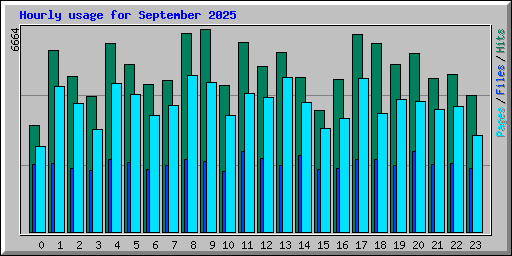 Hourly usage for September 2025
