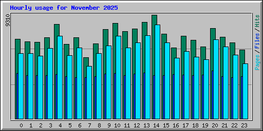 Hourly usage for November 2025