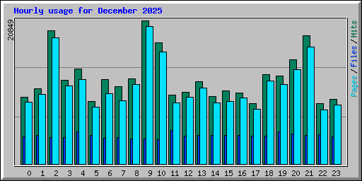 Hourly usage for December 2025