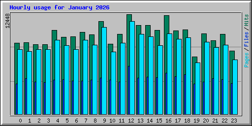 Hourly usage for January 2026