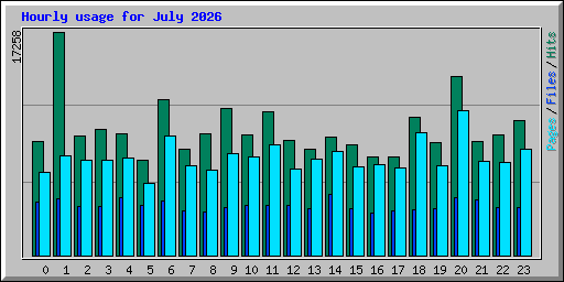 Hourly usage for July 2026